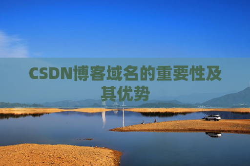 CSDN博客域名的重要性及其优势
